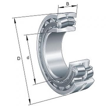 22219E1.C3 FAG Spherical Roller Bearing