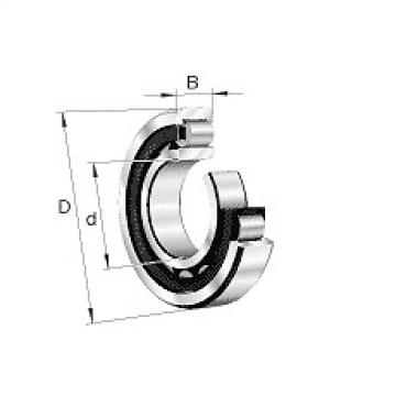 NU1036M1A.C3 FAG Cylindrical Roller Bearing Single Row