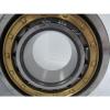 FAG NU2317E.M1 CYLINDRICAL ROLLER BEARING