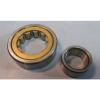 FAG NU305E.M1A.C4 Inner Race Roller Bearing 62mm OD, 25mm ID, 17mm Width NIB