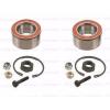 Set of 2 Rear Wheel Bearing Kits OEM (FAG) for BMW &amp; PORSCHE