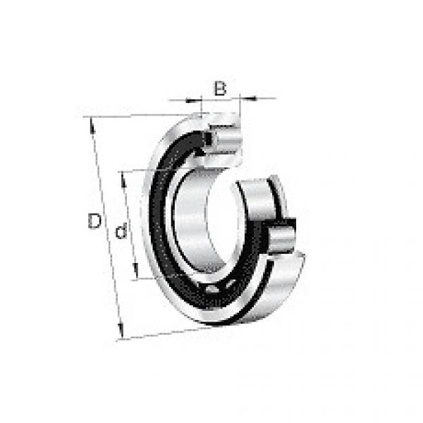 NJ2211E.M1.C3 FAG Cylindrical Roller Bearing Single Row #5 image